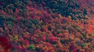 Top 10 Spring Travel Destinations in the USA for a Perfect Getaway