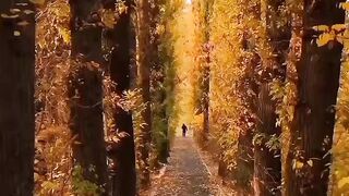 Beautiful view of nature 174