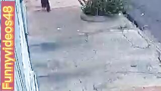 Try not to laugh