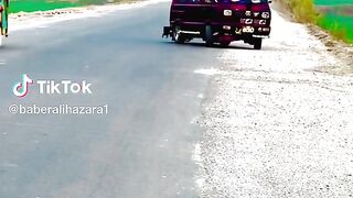 car lover