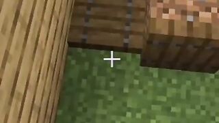 Minecraft tutorial #4