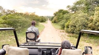 Angry Elephant Charges Safari Guide | Big 5 | African Wild Elephants