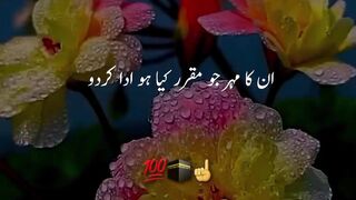 جو ان کا مہر ہو دے دو