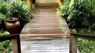 Rainy Days: A Timelapse of the Storm Outside