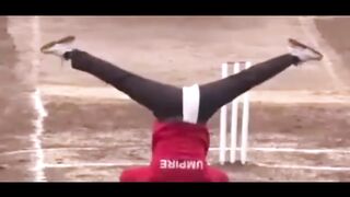 cricket    Crazy_moments_in_Cricket(720