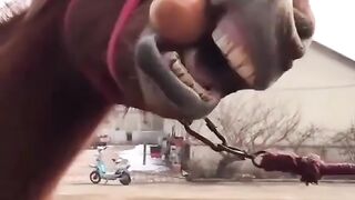 HOW GOVT OF PAKISTAN GIVING RELIEFE TO PEOPLE