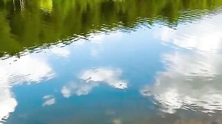 BEAUTIFUL SCENES OF NATURE THAT LOOKS IN PURE WATER WITH GREENERY LOOKS