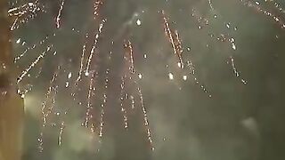 New year |  New Year