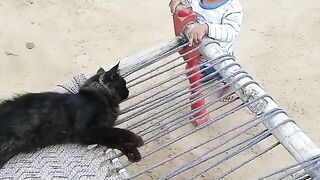 Little baby playing with black cat| Funny