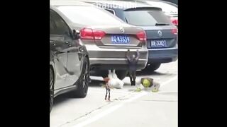 UNUSUAL MEMES COMPILATION v2!!