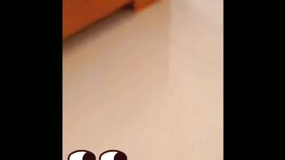 Funniest Videos 2023 -- Cute Cats and Funny Dogs