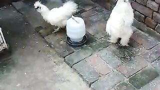 Near the window