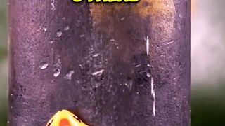 Quotes video and satisfying