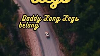 Animal Facts         Daddy Long Legs         #shorts