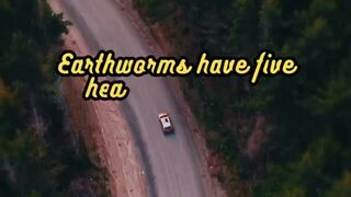 Animal Facts         Earthworms         #shorts