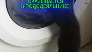 ПОЧЕМУ БЕЛЬЁ ПРИ СТИРКЕ ВСЕГДА ОКАЗЫВАЕТСЯ В ПОДОДЕЯЛЬНИКЕ