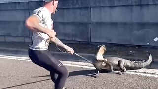 Crocodile???? rescue⛑️
