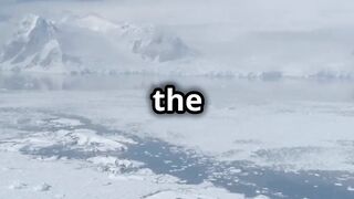 Epic Antarctica Journey in 60 Seconds!