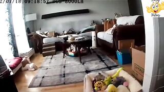 Funny vidio 56