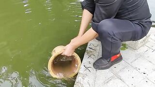 new funny video link bio