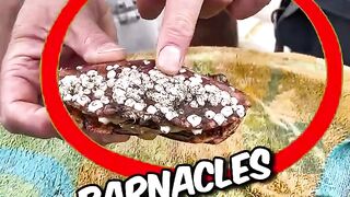 remove barnacles from CRAB