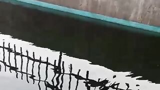Kalau budidaya lele SANTAI ya gini, gak ada target dan sedapatnya