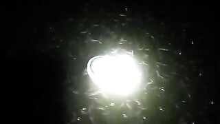 Pelet PF 500 MS untuk bibit lele ukuran 1-2 & 2-3cm sangat cocok