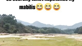 lion scary  #reels #music #newsong #trending #viralvideo #action