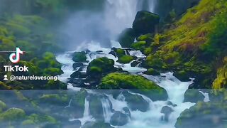 Nature Songs Love 11