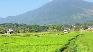 mountain 5