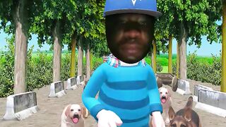 Who let the dogs out ????????????????