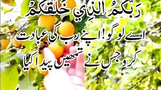 Surah Baqarah Ayat 21-22