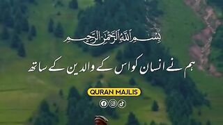 Quran Translate 13