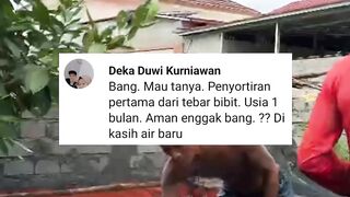 Ternyata diumur segini ikan lele waktunya disortir❗Ternyata selama ini saya salah ????‍♀️