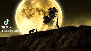 Nature Songs Love 23