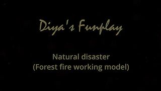 Natural Disaster 2