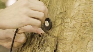 Deep sound interesting video
