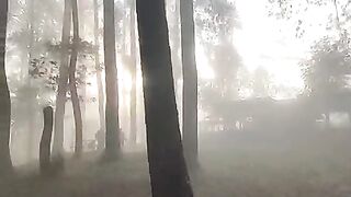 Hutan pinus sumber jaya lampung 2