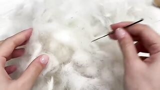 Cute cat videos//sonya's  with cat//how do you like with my new hat