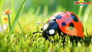 Insects Song | nursery rhymes | kids song | cartoon rhymes | rhymes | fill colors and learn