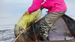 Fishing 61