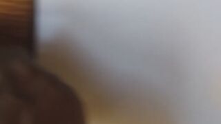 Pega o pombo