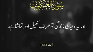 Quran Translate 14