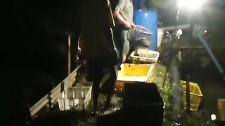 LEMBUR - Panen lele konsumsi dikolam TANAH