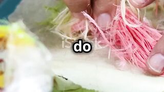 creative lunch recipe you must try!