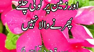 Surah Hud Ayat 6