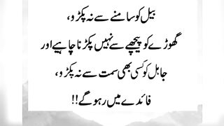 urdu beautiful quotes //heart touching quotes //life changing quotes