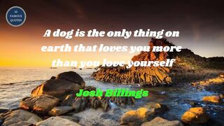 famous quotes about love | Part 952