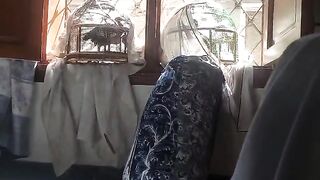 The rooster not ll