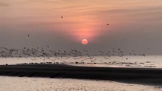 sunset 16